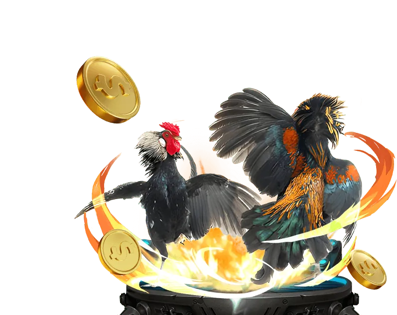 Ưu đãi hoàn trả cược hàng ngày tại zalv casino